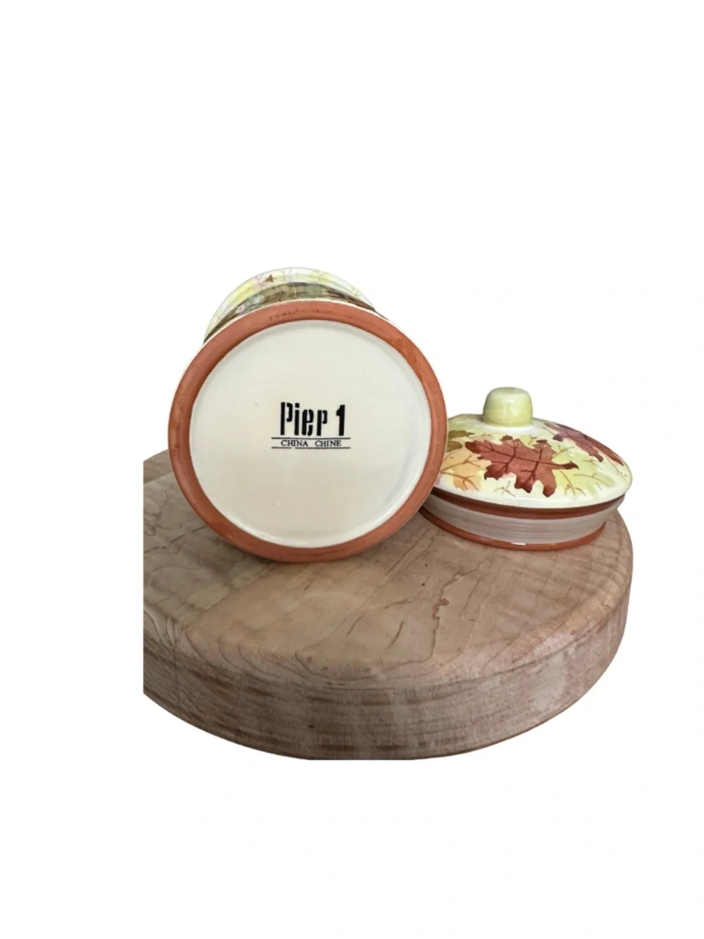 Pier 1 Imports Autumn Leaf Stoneware Canister with Lid